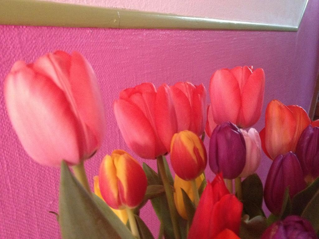 B&B La Vie En Rose Basel Eksteriør billede