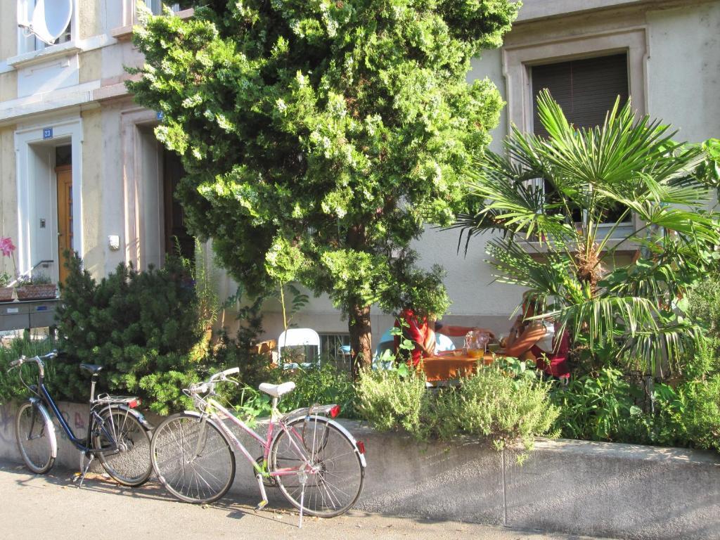 B&B La Vie En Rose Basel Eksteriør billede